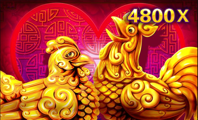 rosster, in, love, slots, cassinos, apostas, jogos, caca, niqueis
